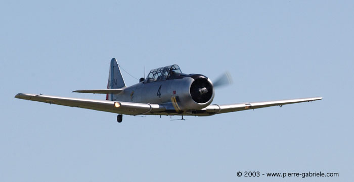 t6-8.jpg