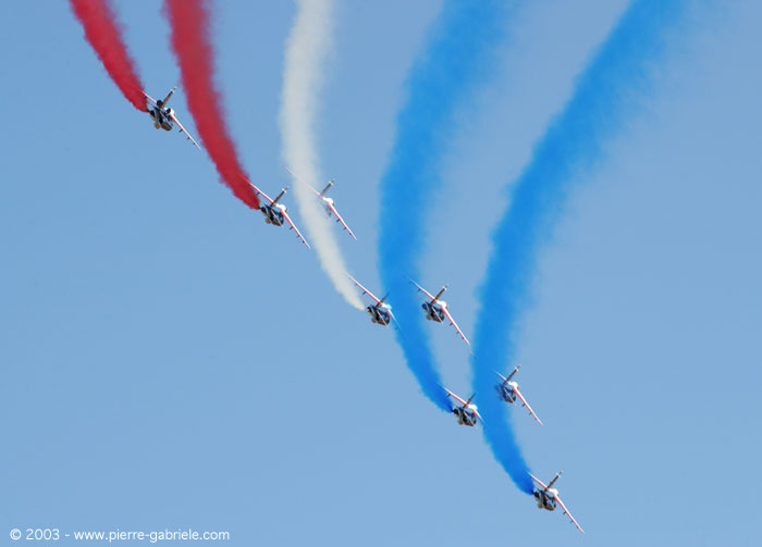 paf8.jpg