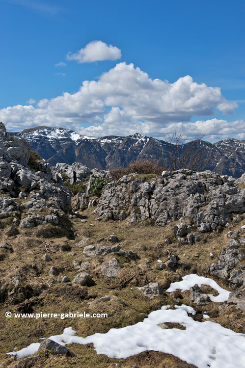 fontaine-ahuzki_5391.jpg