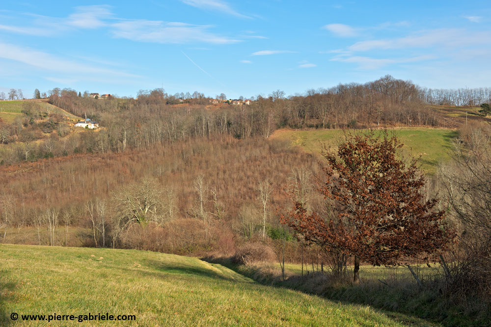 autour-maison_4404.jpg