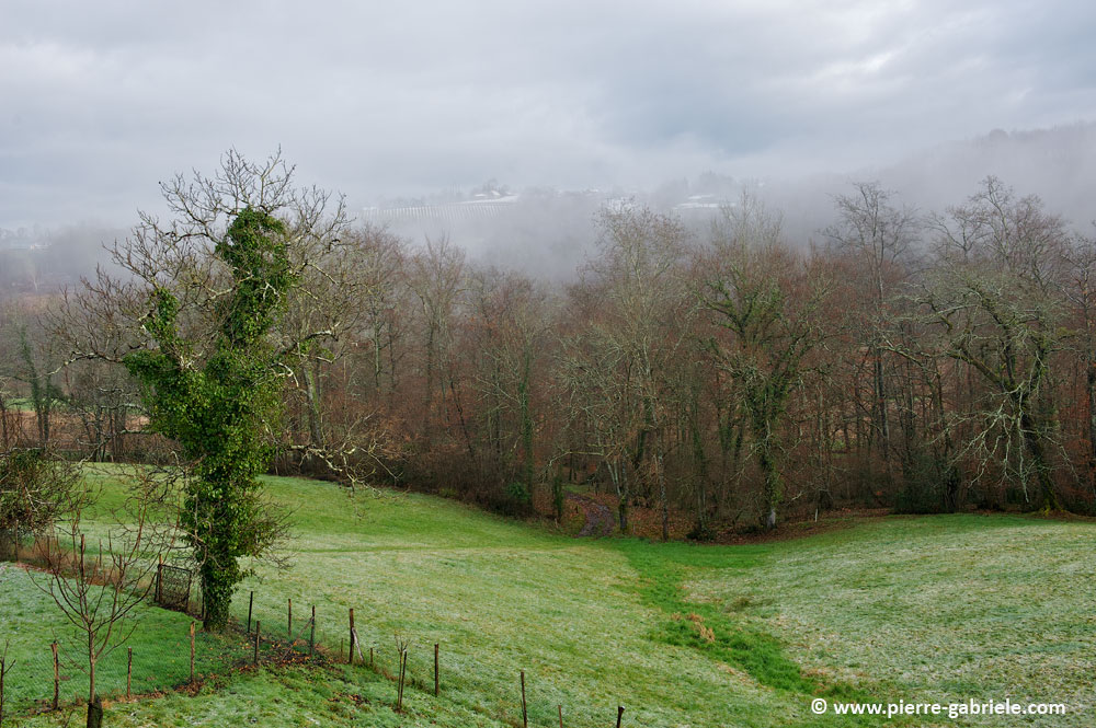 petitmatin-neige_5316.jpg