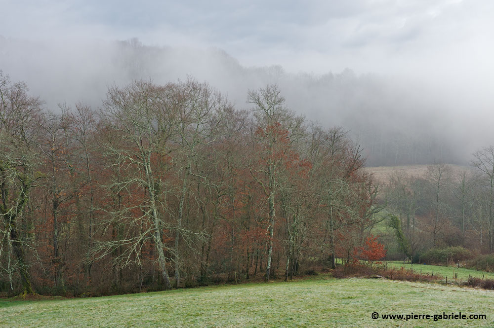 petitmatin-neige_5320.jpg