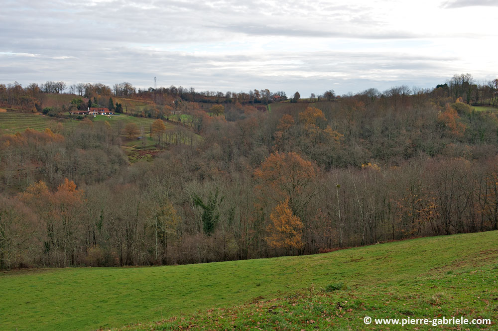 vers-aubertin_4263.jpg