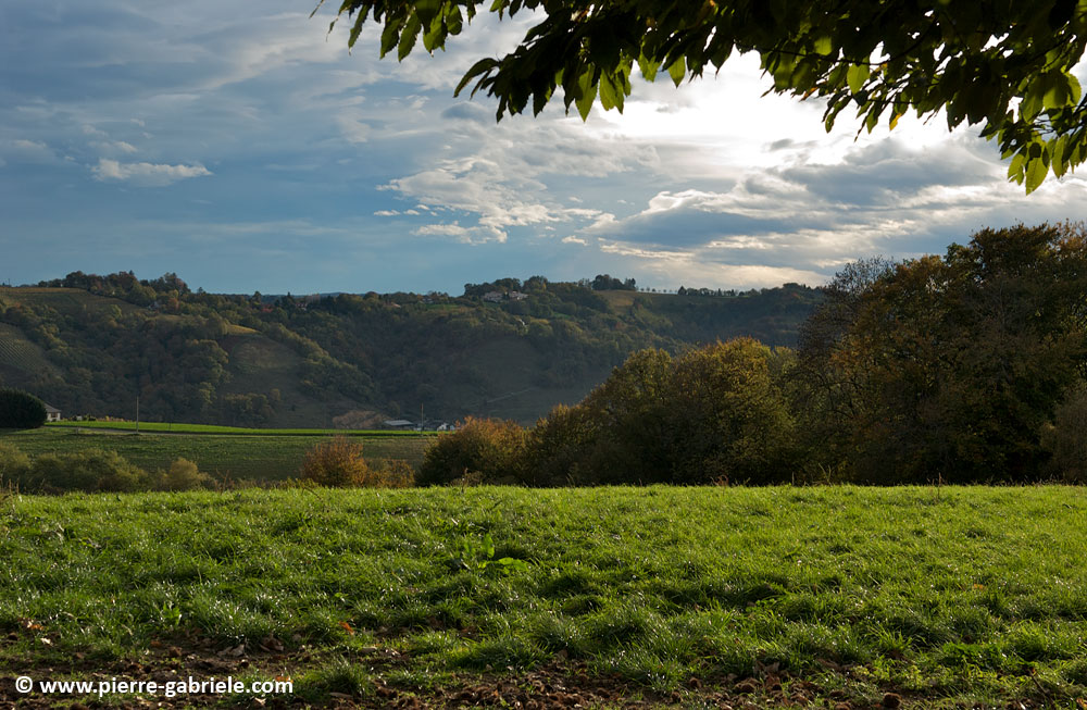 paysage-bearnais_2853.jpg