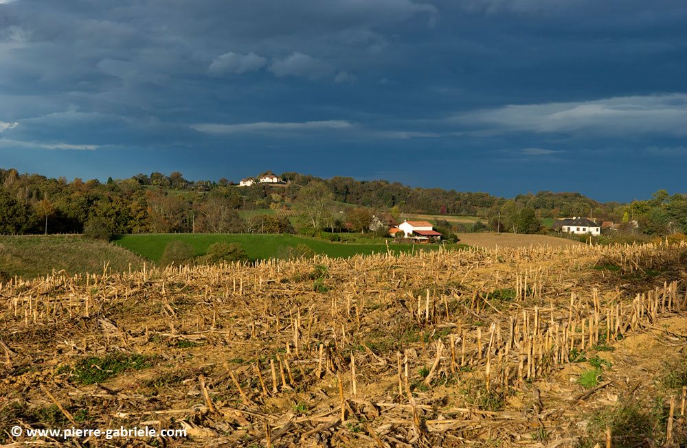 paysage-bearnais_2855.jpg