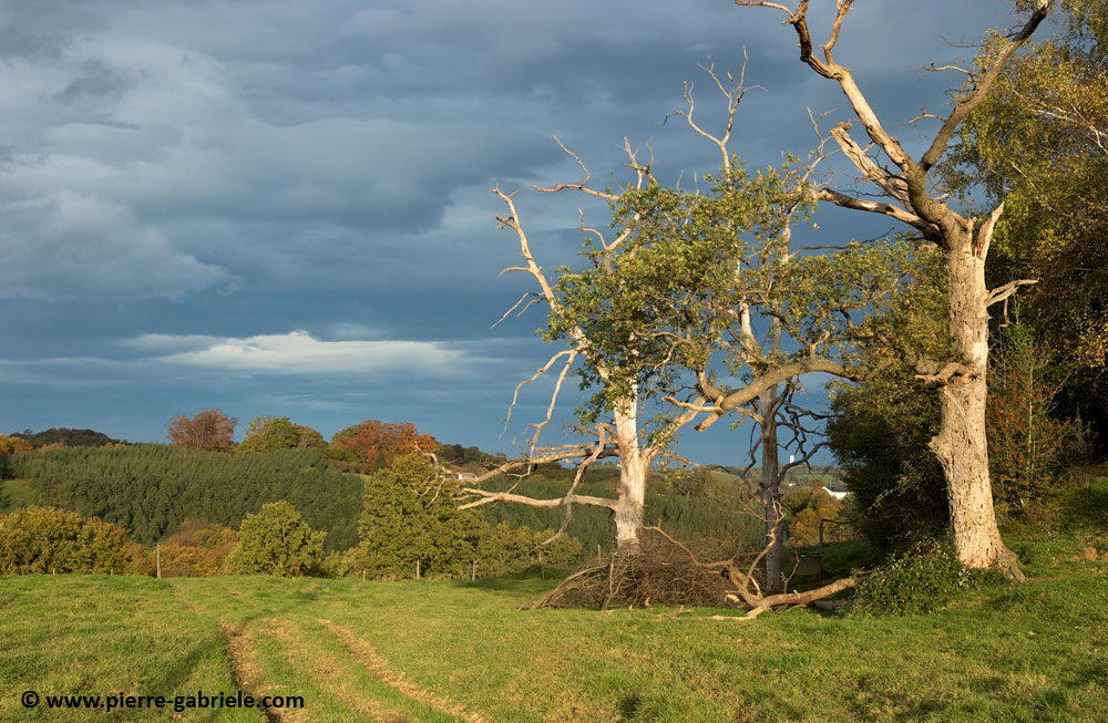 paysage-bearnais_2858.jpg