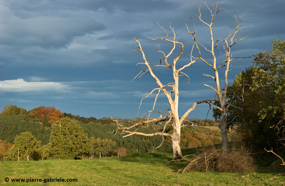 paysage-bearnais_2859.jpg