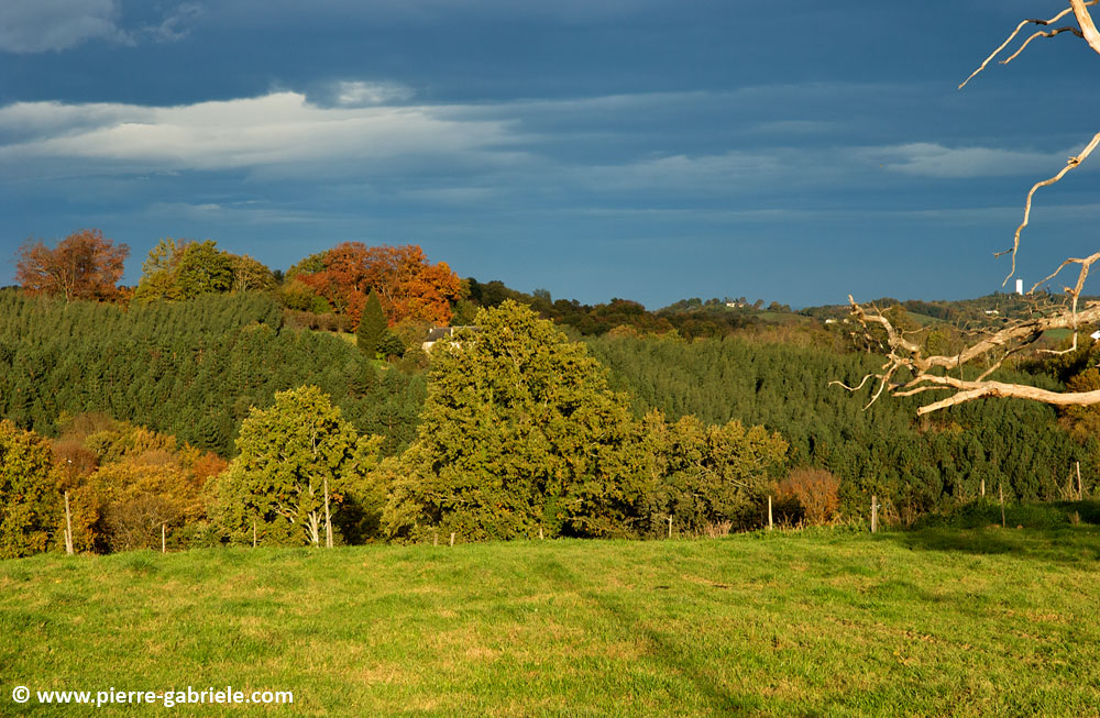 paysage-bearnais_2862.jpg