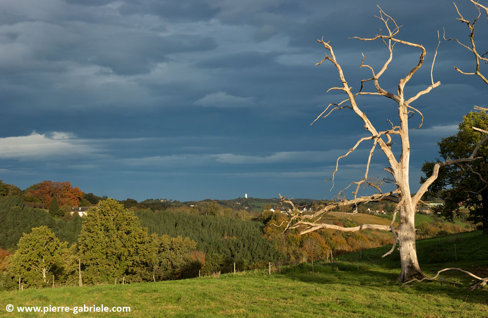 paysage-bearnais_2863.jpg