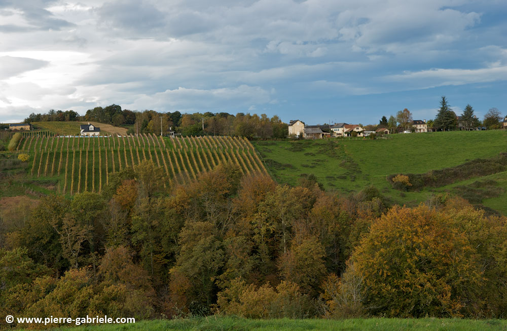 paysage-bearnais_2870.jpg