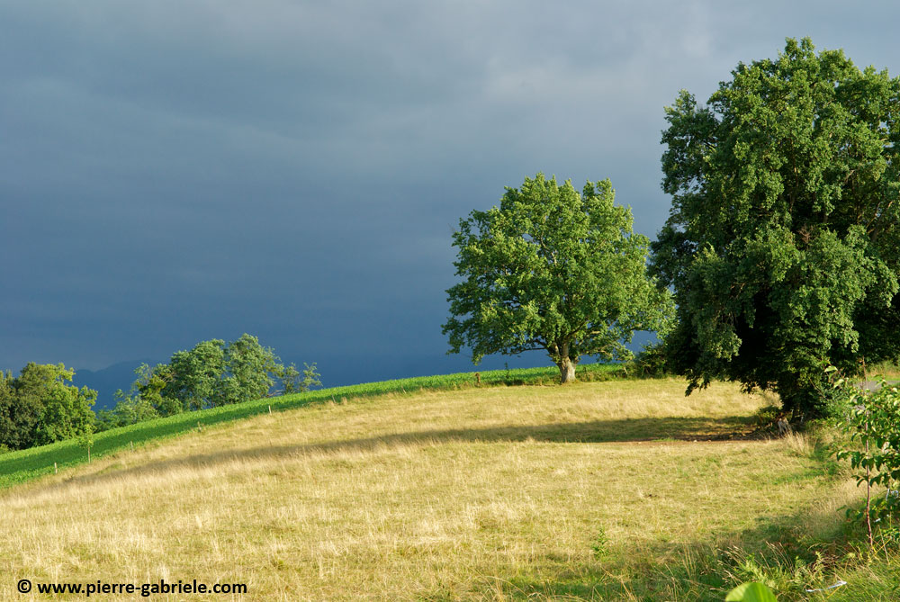 paysage-bearnais_3928.jpg