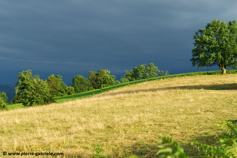 paysage-bearnais_3930.jpg