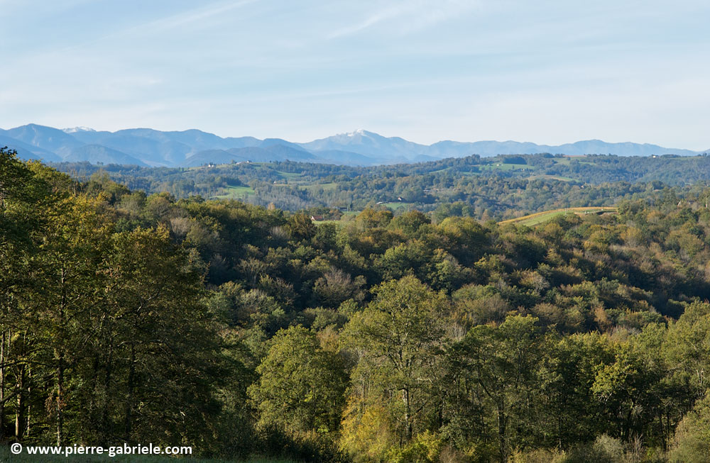 paysage_4526.jpg