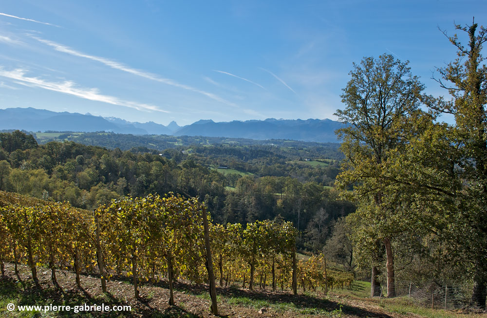 paysage_4528.jpg
