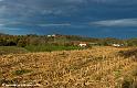paysage-bearnais_2855
