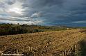 paysage-bearnais_2856