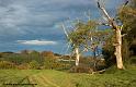 paysage-bearnais_2858