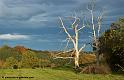 paysage-bearnais_2859