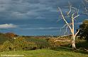paysage-bearnais_2863