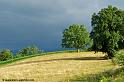 paysage-bearnais_3928