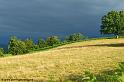 paysage-bearnais_3930
