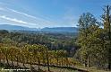 paysage_4528