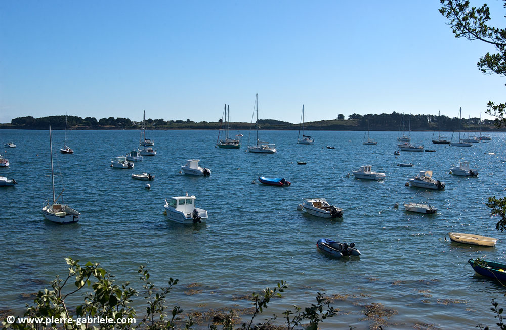 bateaux_6045.jpg