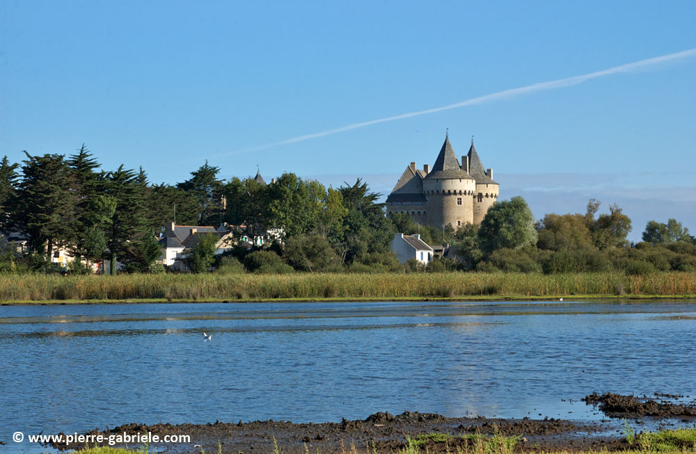 chateau_5858.jpg