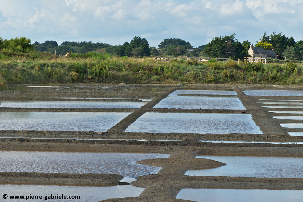 saline_5161.jpg