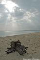 bretagne2007_5220