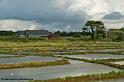 saline_5155