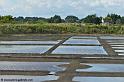 saline_5161
