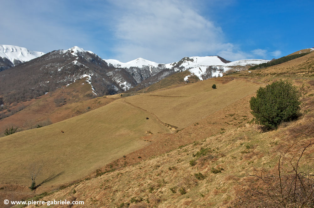 iraty_4747.jpg