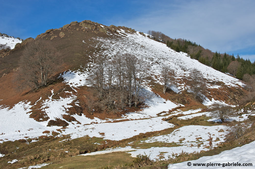 iraty_4794.jpg
