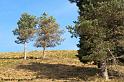iraty_4741