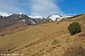 iraty_4747