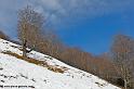 iraty_4763