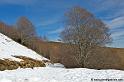 iraty_4764