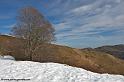 iraty_4766