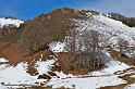 iraty_4788