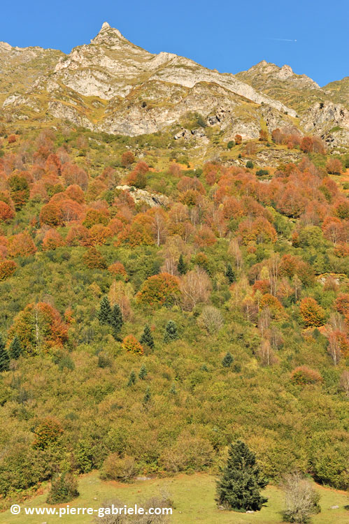 lac-estaing_3880.jpg