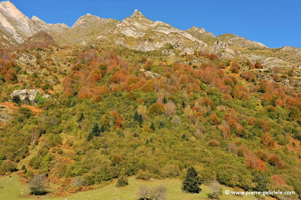 lac-estaing_3884.jpg