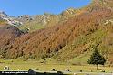 lac-estaing_3883