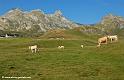 pourtalet_0507
