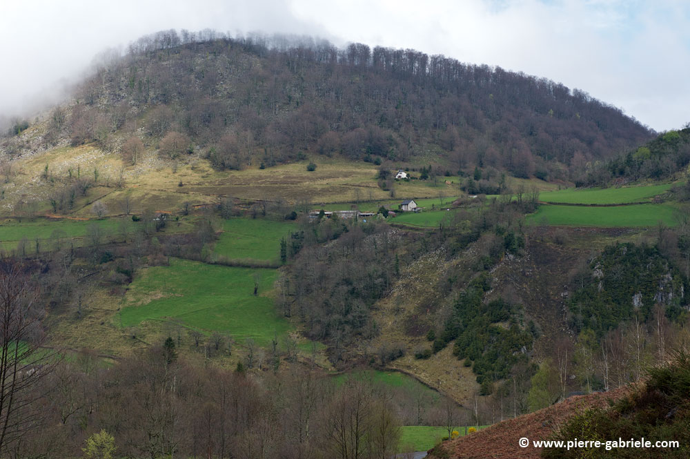 pierre-st-martin-2009_4971.jpg