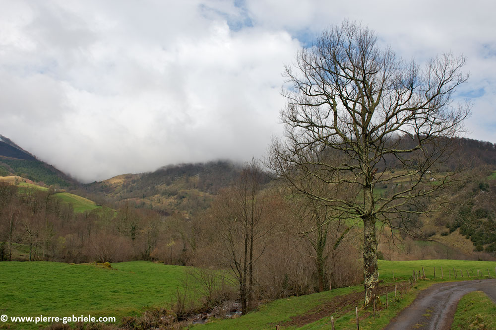pierre-st-martin-2009_4979.jpg