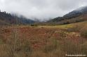 pierre-st-martin-2009_4959
