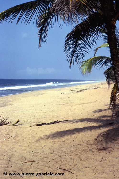 cote-ivoire-051.jpg