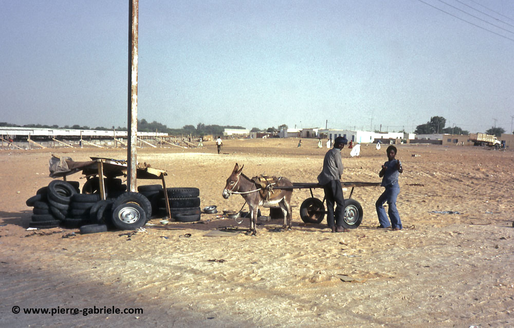 mauritanie-161.jpg