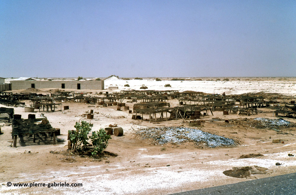mauritanie-165.jpg